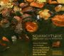 Franz Schubert: 12 Lieder aus Winterreise D.911 "Schubertiade", CD