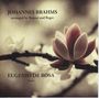 Johannes Brahms: Transkriptionen für Klavier, CD