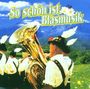 : So schön ist Blasmusik, CD