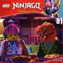 „LEGO NINJAGO DRAGONS RISING 81“. Zwei LEGO-Figuren in bunter Kleidung stehen in einer gemütlichen Umgebung.