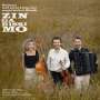 Matthias Well, Maria Well & Vladislav Cojocaru: Zingarissimo: Brahms und seine Liebe zur ungarischen Musik, CD