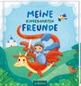 : Meine Kindergartenfreunde - Ritter und Drachen, Buch