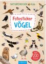 : Naturforscher-Kids - Fotosticker Vögel, Div.