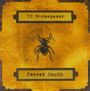 16 Horsepower, Secret South. Illustration auf gelbem Hintergrund, zeigt ein Insekt in der Mitte.