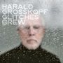 Harald Grosskopf: Glitches Brew, CD