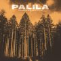 Palila: Children Will Be Furious, LP