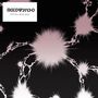 Motorpsycho: Black Hole / Blank Canvas, LP,LP