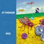 Texte: "ATTWENGER" und "WOS". Illustration mit Fliege, bunten Kugeln und surrealer Landschaft.
