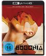 Yorgos Lanthimos: Bugonia (4K Ultra HD Blu-ray & Blu-ray), UHD