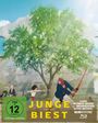 Texte: "Der Junge und das Biest", "FSK ab 12 freigegeben", "4-Disc Ultimate-Edition". Illustration mit Baum und Figuren.