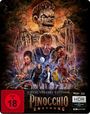 Am oberen Rand: "2-Disc Special Edition". Unten: "Pinocchio Unstrung". Horror-Illustration mit gruseligen Figuren.