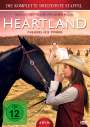 Dean Bennett: Heartland - Paradies für Pferde Staffel 13, DVD,DVD,DVD,DVD