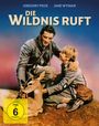 Clarence Brown: Die Wildnis ruft (Blu-ray & DVD im Mediabook), BR,DVD