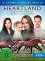 Dean Bennett: Heartland - Paradies für Pferde Staffel 13, DVD,DVD,DVD,DVD