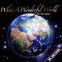 : What A Wonderful World: One Song - 21 Versions, CD