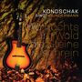 Heiner Kondschak: Wo nachts im Wald die Steine schrein (Kondschak singt Gundermann), CD