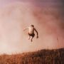 Sebastian Plano: Impetus (180g), LP