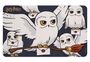 : cutting board - Hedwig, Div.