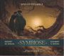 Wolfgang Amadeus Mozart: Symphonie Nr.40 (Fassung für Kammerorchester), CD