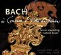 Johann Sebastian Bach: Gambensonaten BWV 1027-1029,1030b, SACD