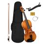 : Violin Set 4/4 (incl. case black, bow, rosin), Div.