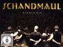 Schandmaul: Sinnfonie (Limited Edition), CD,CD,DVD,DVD