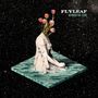 Flyleaf: Between The Stars (Special Edition), CD