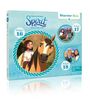 : Spirit-Starter-Box 6 - Folgen 16-18, CD,CD,CD