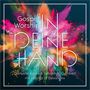 Danyelle Vanes & Sebastian Cuthbert: Gospel Worship: In deine Hand, CD