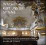 : Orgelmusik aus der Sophienkirche Berlin - Wachet auf, ruft uns die Stimme, CD