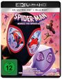 Joaquim Dos Santos: Spider-Man: Across the Spider-Verse (Ultra HD Blu-ray & Blu-ray), UHD,BR