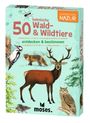Carola von Kessel: Expedition Natur. 50 heimische Wald- & Wildtiere, SPL