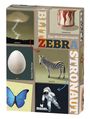 : Blitz Zebra Astronaut, SPL