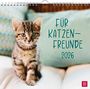 : Wandkalender 2026: Für Katzenfreunde, KAL