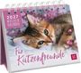 2027 Wochenkalender, Für Katzenfreunde. Ein Kätzchen liegt auf weichem Hintergrund mit pinken Blumen.