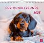 Wandkalender 2027: Für Hundefreunde, KAL