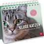"KLUGE KATZEN Wochenkalender 2027". Großaufnahme einer Katze mit grünen Augen. Spiralbindung oben.