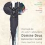: Kammerchor I Vocalisti - Domine Deus (Chormusik des 20. & 21.Jahrhunderts), CD