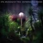 Emil Brandqvist: Entering The Woods (180g), LP