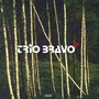 Trio Bravo +: Trio Bravo +, CD