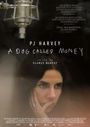 Seamus Murphy: PJ Harvey - A Dog Called Money, DVD