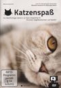 : Katzenspaß - Gute TV-Unterhaltung für deine Katze, DVD