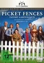 : Picket Fences - Tatort Gartenzaun Staffel 1, DVD,DVD,DVD,DVD,DVD,DVD