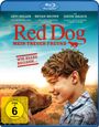Kriv Stenders: Red Dog - Mein treuer Freund (Blu-ray), BR