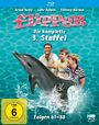 Hollingsworth Morse: Flipper Staffel 3 (Blu-ray), BR,BR,BR