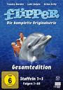 Hollingsworth Morse: Flipper (Komplette Serie), DVD,DVD,DVD,DVD,DVD,DVD,DVD,DVD,DVD,DVD,DVD,DVD