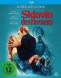 Alfred Hitchcock: Sklavin des Herzens (Blu-ray), BR