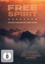 Ashley Avis: Free Spirit - Mustangs in Gefahr, DVD