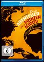 Lotte Reiniger: Die Abenteuer des Prinzen Achmed (Blu-ray), BR