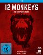 David Grossman: 12 Monkeys (Komplette Serie) (Blu-ray), BR,BR,BR,BR,BR,BR,BR,BR,BR,BR